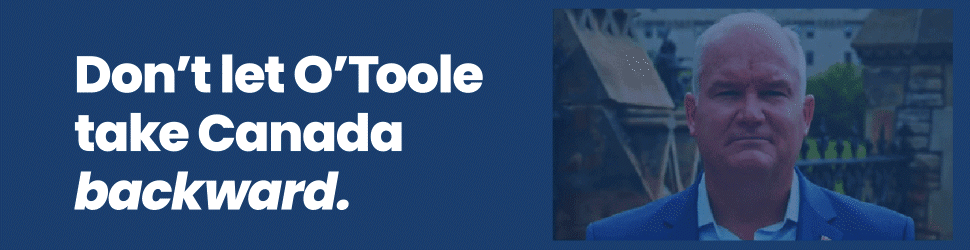 otoole-970x250-0