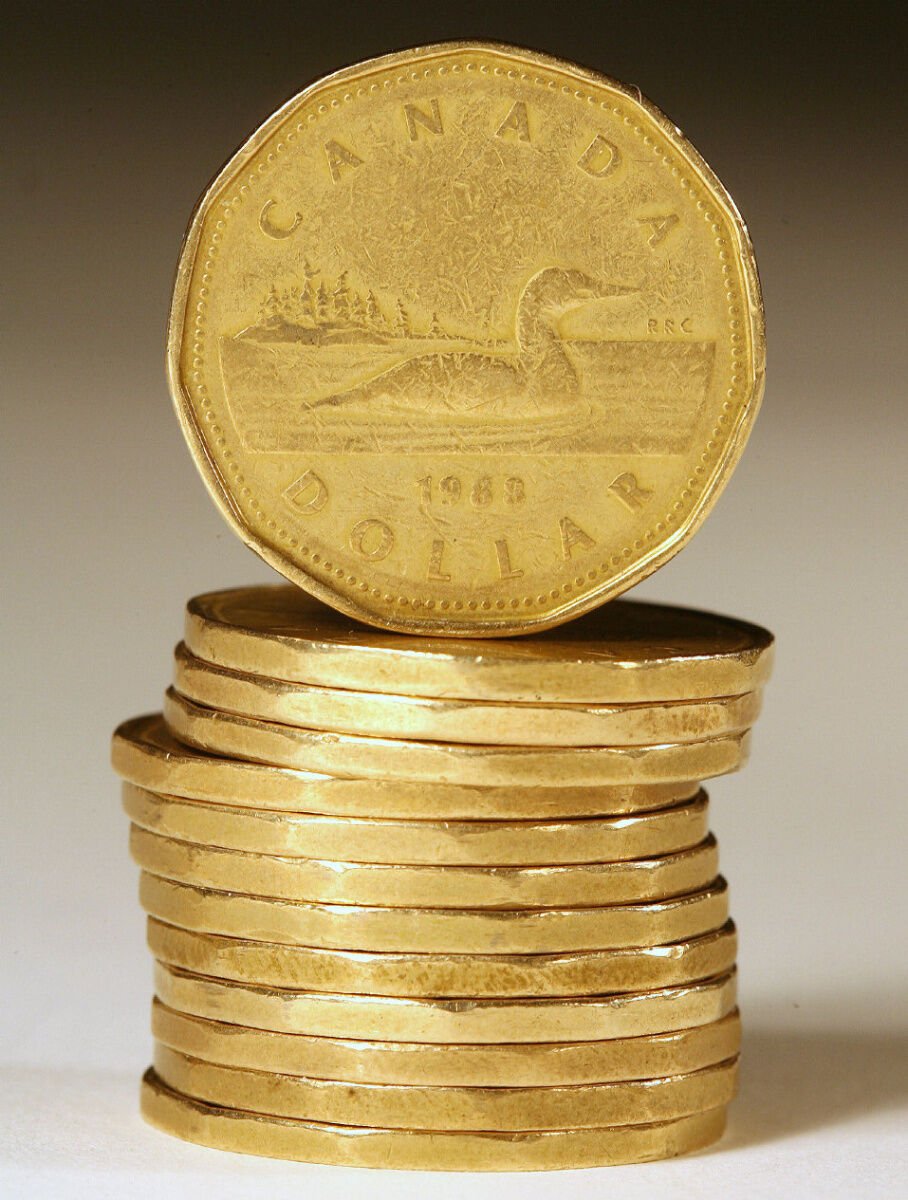 Loonie celebrates its 25th birthday