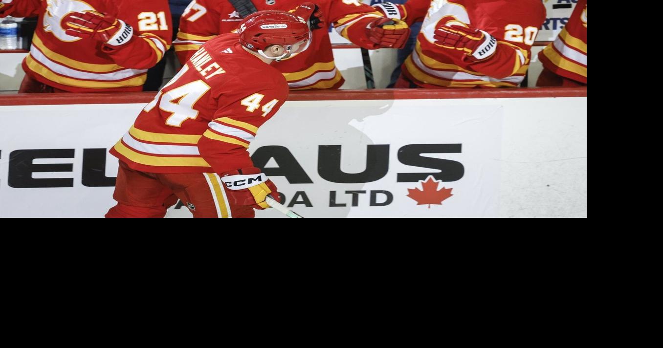 Persistent Hanley comes up big for Flames in 3-2 win over Sharks