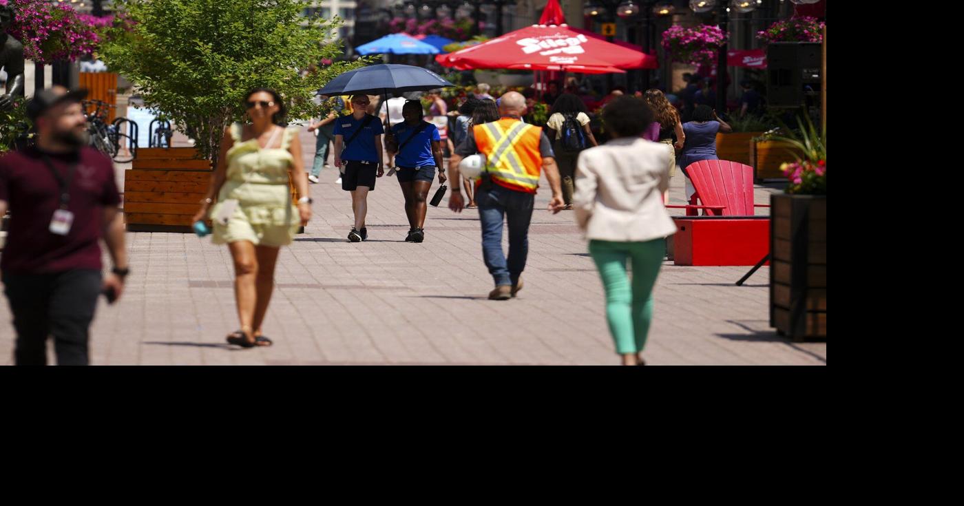 Applications for federal public service jobs drop by almost 30 per cent