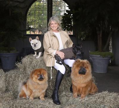 Martha Stewart is pushing a new line of CBD edibles for dogs because she is  anti-cat