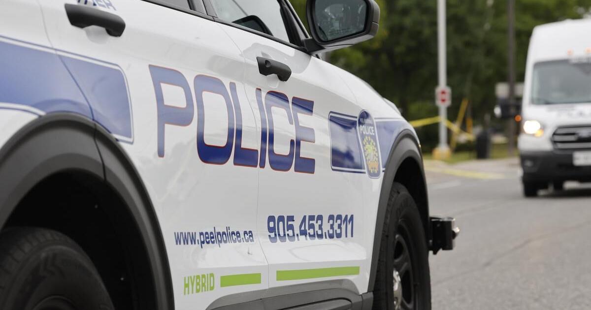 Two men charged after armed carjacking in Brampton