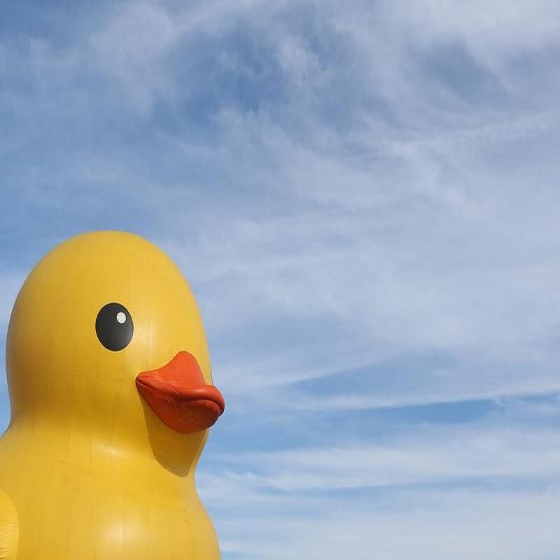 World's Largest Rubber Duck coming to Maryland