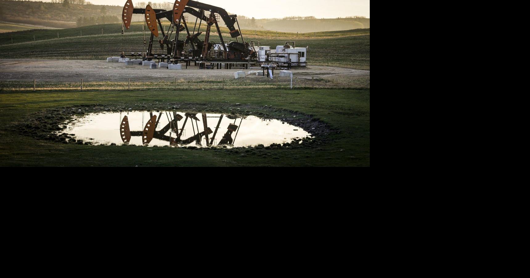 Canadian oilpatch can withstand crude market doldrums, experts say