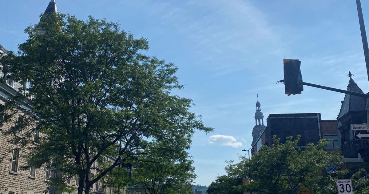 Shawn Micallef: Forget the Leafs vs. Canadiens — this Toronto-Montreal rivalry could really elevate our game