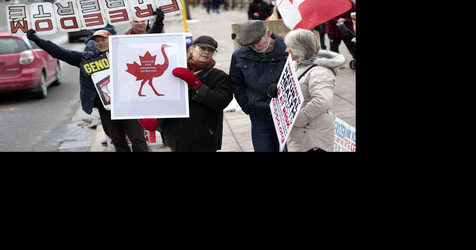 Months after B.C. ostrich cull, why does protest movement persist?