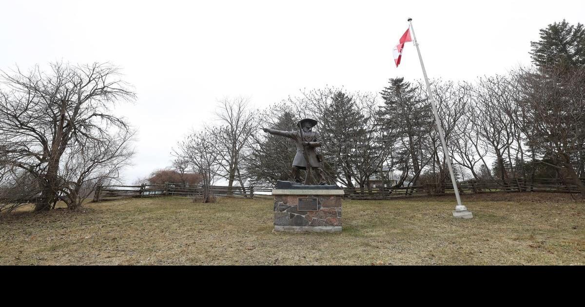 Man shot while walking dog in Schomberg was not target police