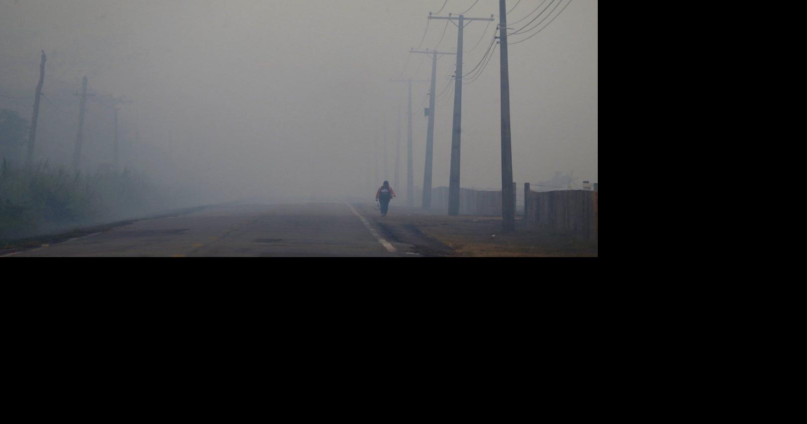 Ahead of UN climate talks, Brazil fast-tracks oil and highway projects that threaten the Amazon