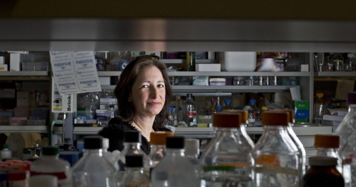 U of T professor’s excellence, ‘pioneering’ research shines light on ...