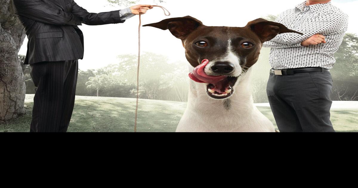 The Best Brothers at Tarragon gives dogs a night out too