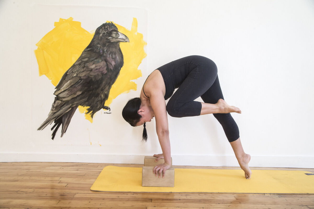 Crow or crane pose. This arm balance is one of first ones you learn in the  yoga class. It's a great arm balance to boost confidence and... | Instagram