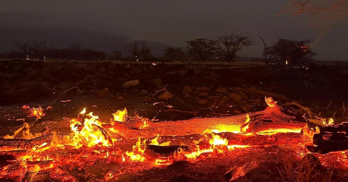 Death toll in Maui rises to 89 with 2,200 structures destroyed or ...