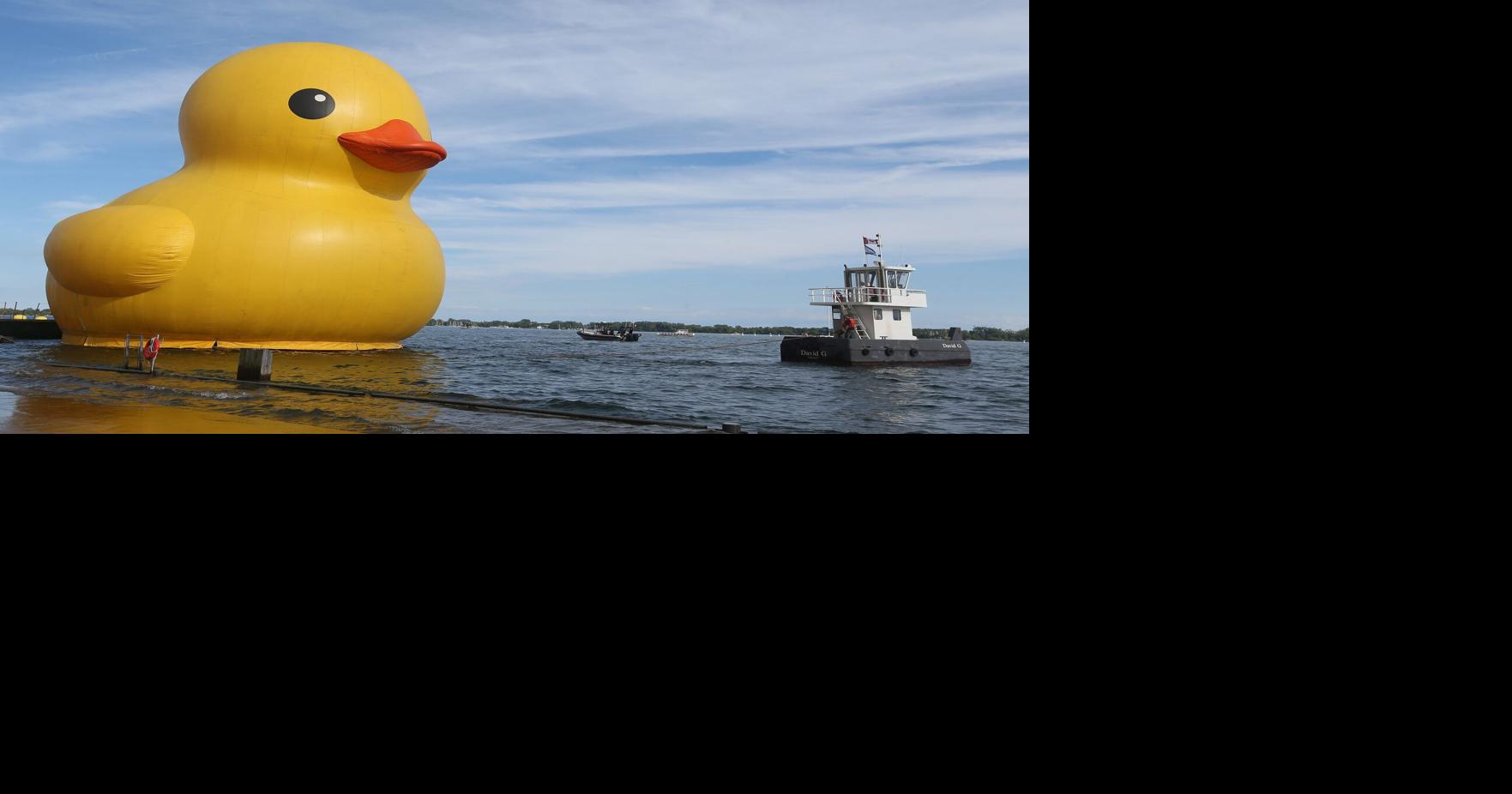 Waterfront Festival cancelled in face of funding gap, competition from FIFA World Cup