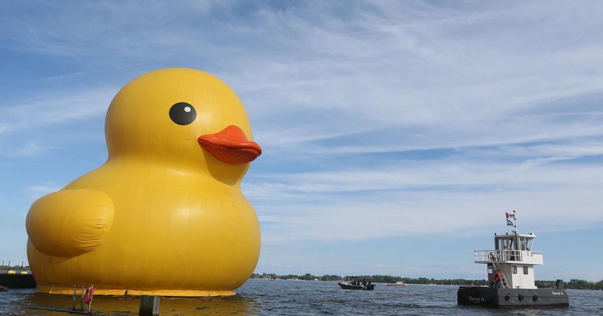 Waterfront Festival wegen Finanzierungslücke und Konkurrenz durch die ...