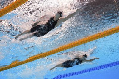 mcintosh-ledecky.JPG