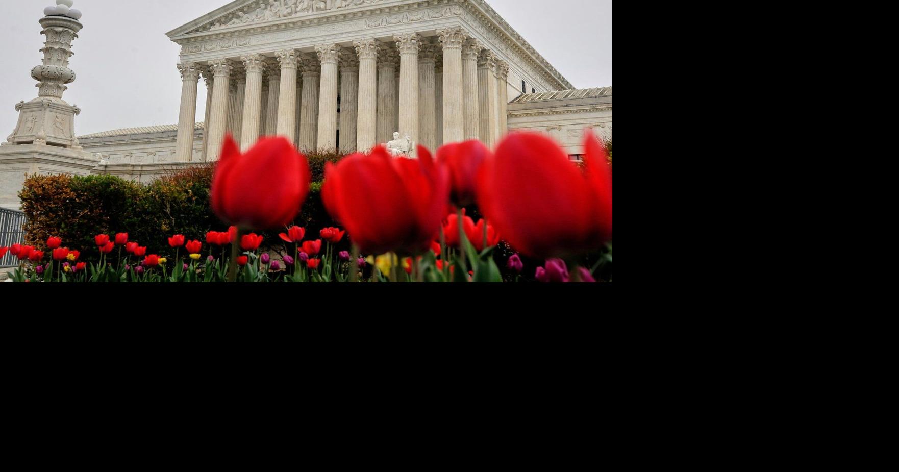 https://bloximages.chicago2.vip.townnews.com/thestar.com/content/tncms/assets/v3/editorial/c/61/c616e0b4-fd8d-5568-99ea-94b47b407ed0/69f2691d62035.image.jpg?crop=1762,925,0,77&resize=1200,630&order=crop,resize