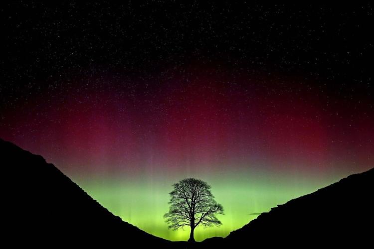 2 men convicted of cutting down beloved Sycamore Gap tree in northern England in 2023