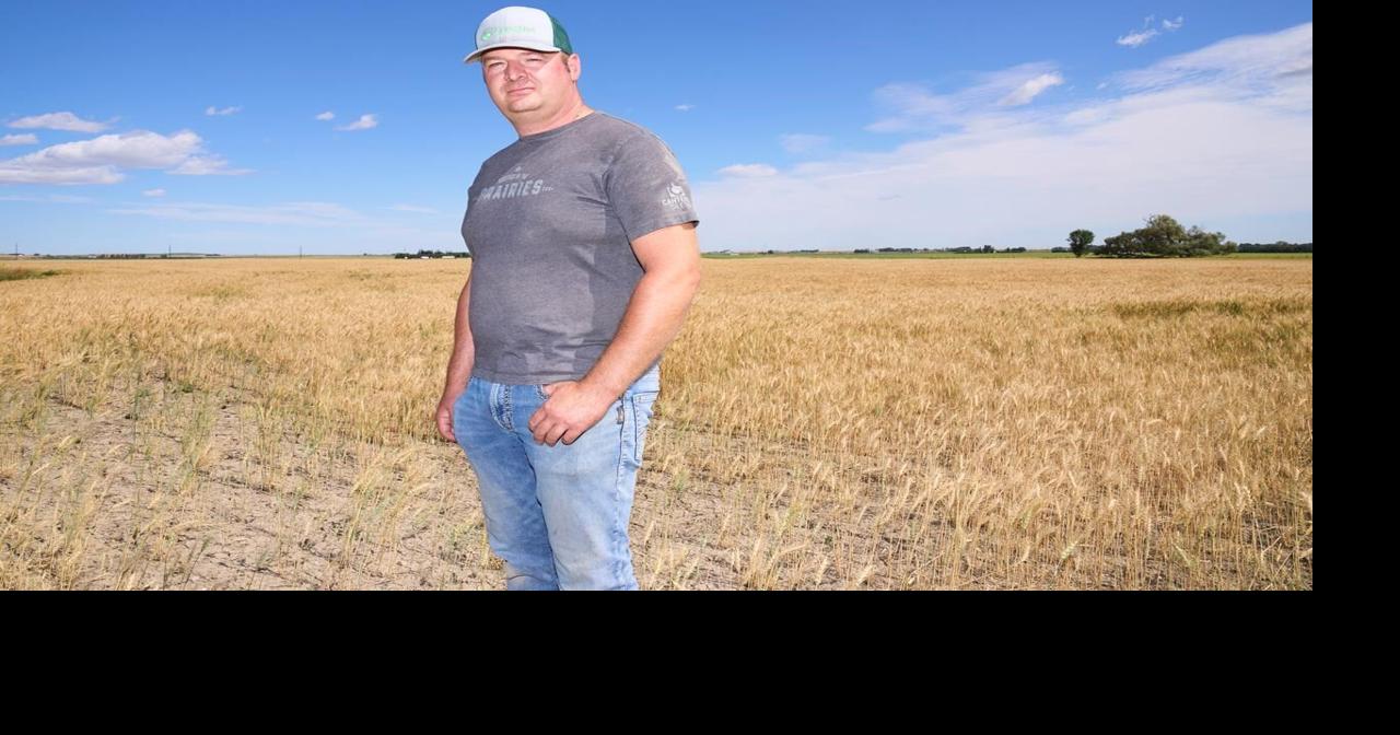 &lsquo;The saving grace for agriculture&rsquo;: Farmers look to irrigation amid climate woes