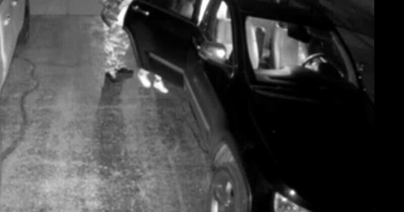 Police asking help identifying suspects in theft investigation