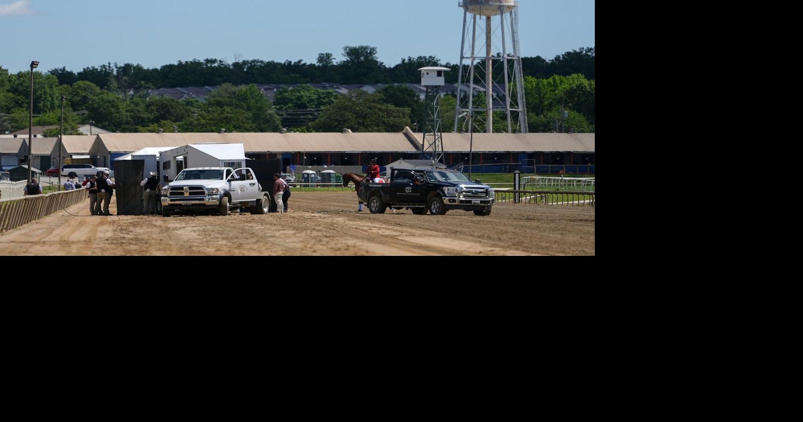 Colt making his racing debut dies after a race at Laurel, the day ...