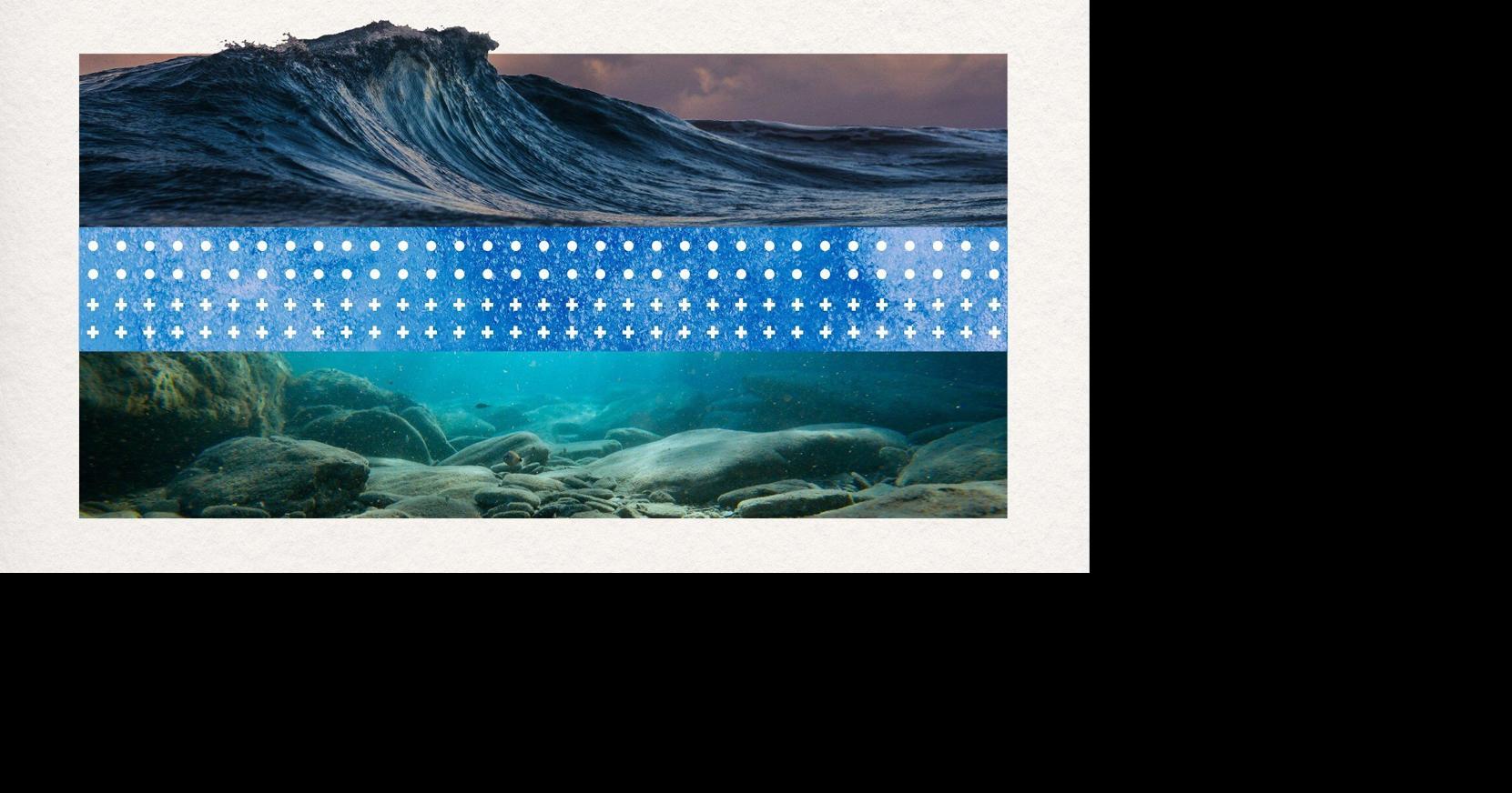 How making the oceans less acidic helps fight climate change
