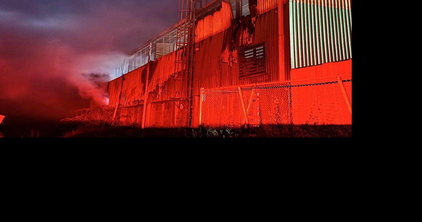 https://bloximages.chicago2.vip.townnews.com/thestar.com/content/tncms/assets/v3/editorial/c/91/c9160d7e-2ff0-5ce0-91ab-1b2e4a73bfbb/6a6cf30bda893.image.jpg?crop=1440%2C756%2C0%2C162&resize=1200%2C630&order=crop%2Cresize
