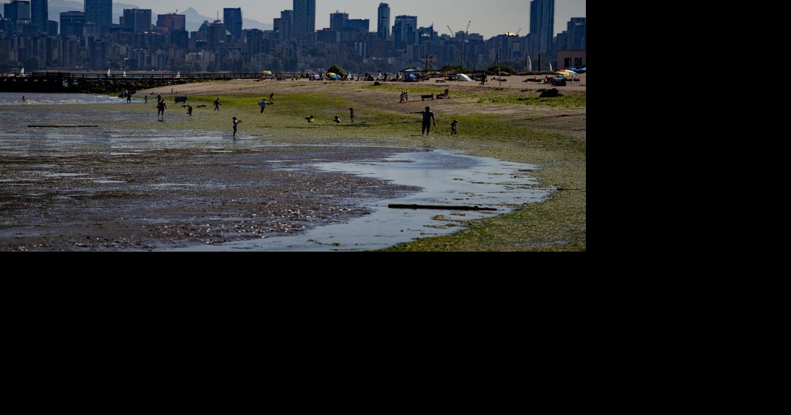 https://bloximages.chicago2.vip.townnews.com/thestar.com/content/tncms/assets/v3/editorial/c/9a/c9a94691-ae05-55f9-b531-1d5f42eb7e06/6a1eff306c77d.image.jpg?crop=1620,851,0,114&resize=1200,630&order=crop,resize