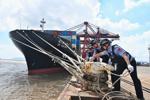 Shanghai cancels 1,300 flights as China prepares for Typhoon Dolphin