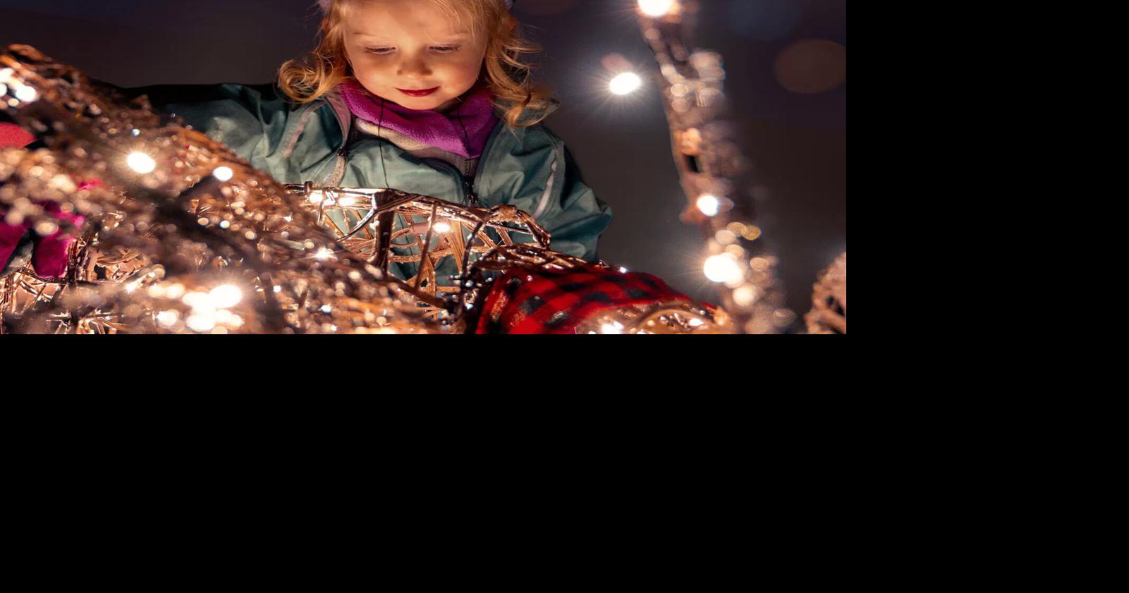 Experience the season in a whole new way with a stroll through an interactive journey of lights, art and nature