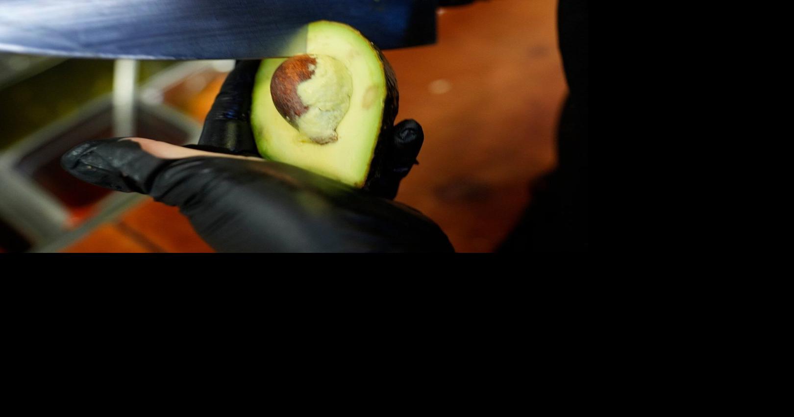 Want to grow an avocado tree from seed? Here's how