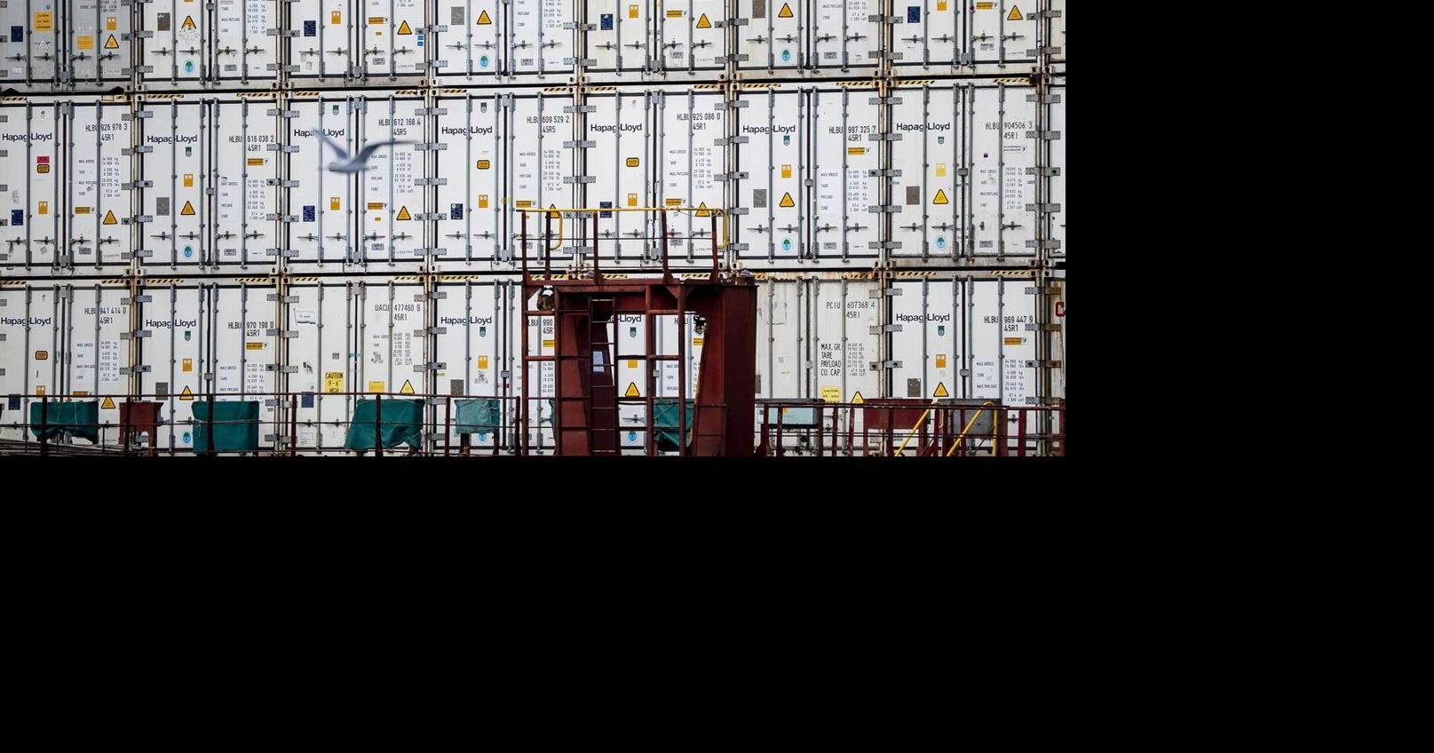 Customs portal causing headaches more than a year into its rollout