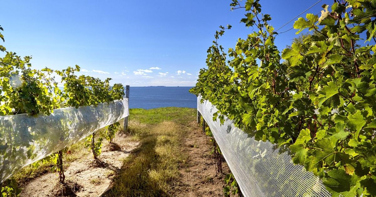 The best daytrips and weekend destinations close to Toronto — many accessible by transit