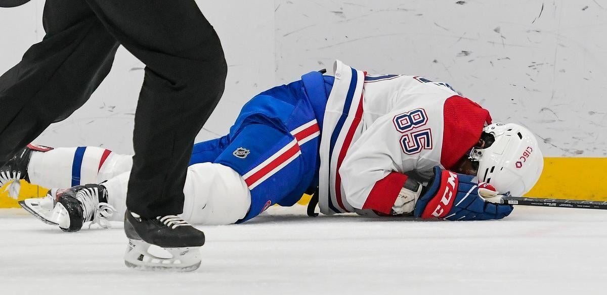 NHL hockey fights don't make economic sense, says study