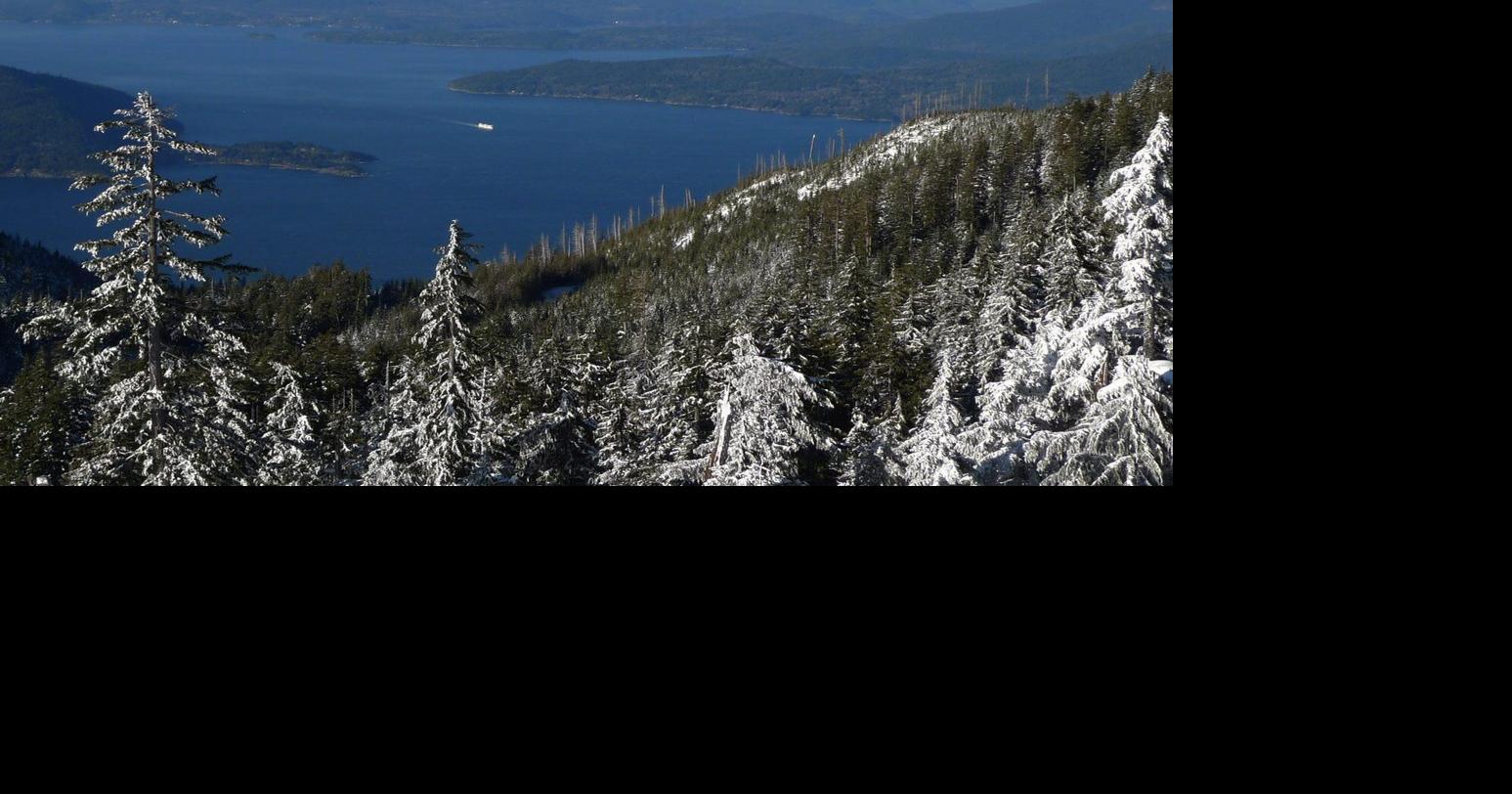 B.C. teen dies after falling from chairlift at Cypress Mountain ski resort
