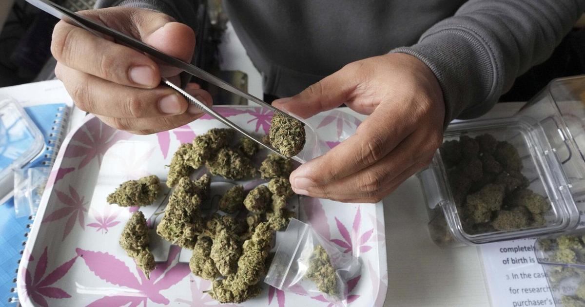 Mounties say there's no evidence supporting some new N.S. government cannabis claims