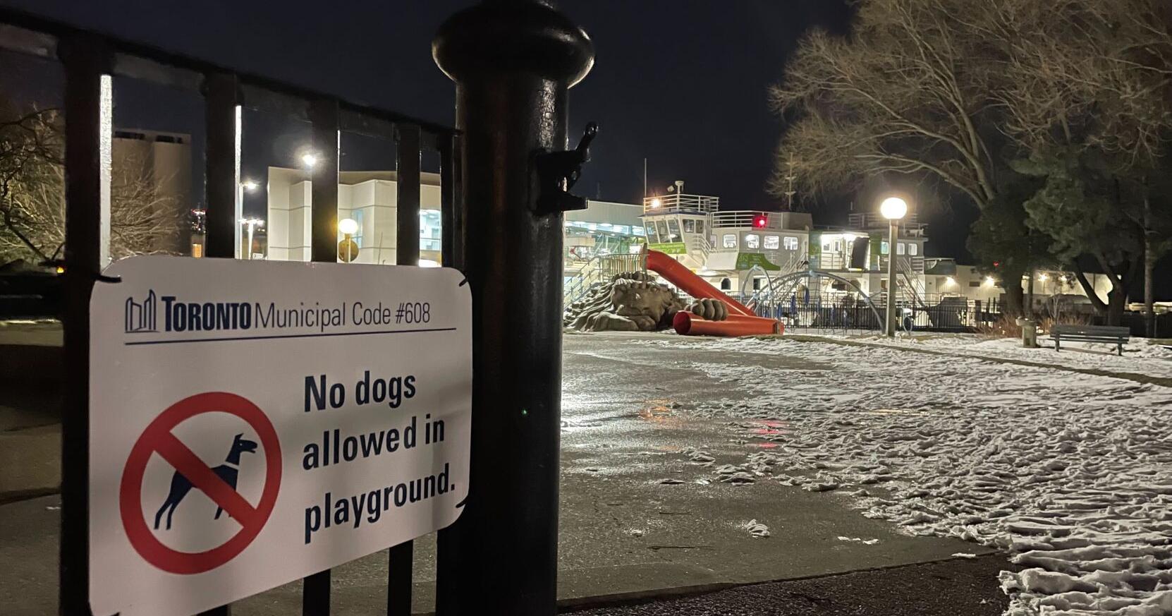 Toronto woman charged after child injured in dog attack - Vimarsana News