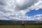 Energy-hungry Nova Scotia companies nearly doubled their solar power capacity in 2025