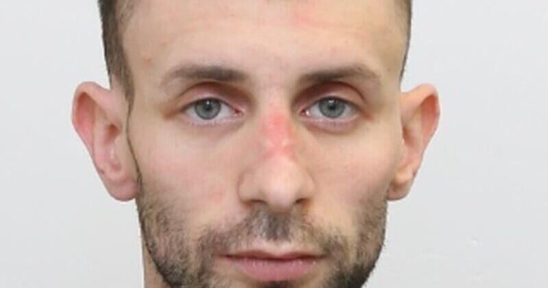 Toronto police arrest suspect in homicide investigation