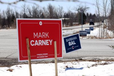 election-signs.JPG