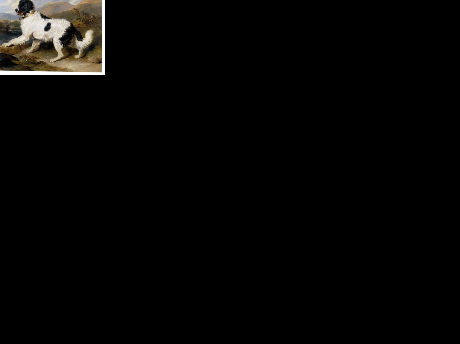 Newfoundland Dog painting.jpg