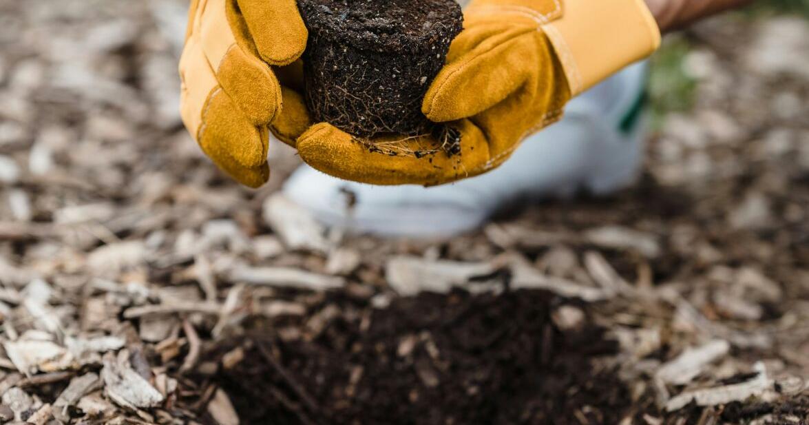 When it comes to climate change, small-scale actions can support larger philanthropy