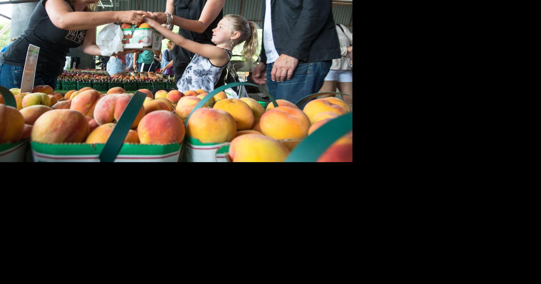 Ontario peaches are in peak season. Here's where to pick your own and peachy treats to try across the city