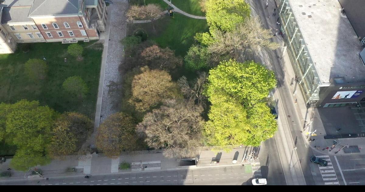 Metrolinx plans to cut down historic Osgoode Hall trees after all