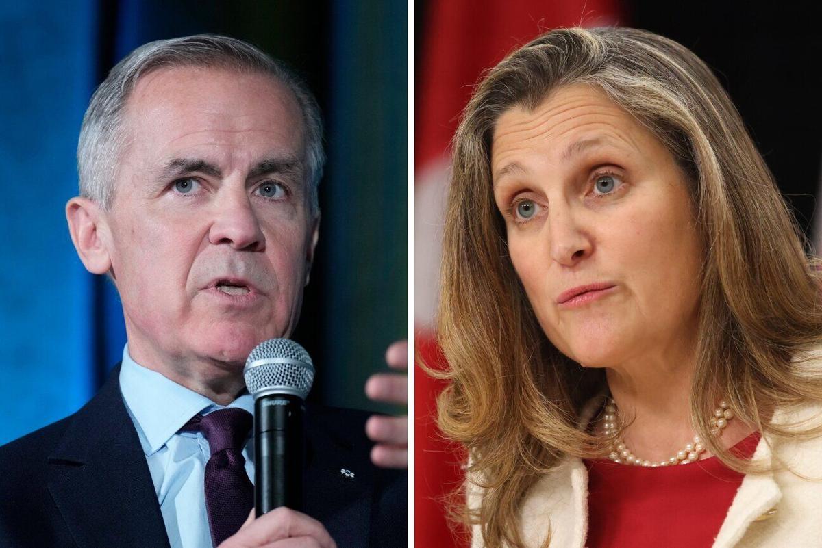 Misinformation plagues Liberal leadership race, report says