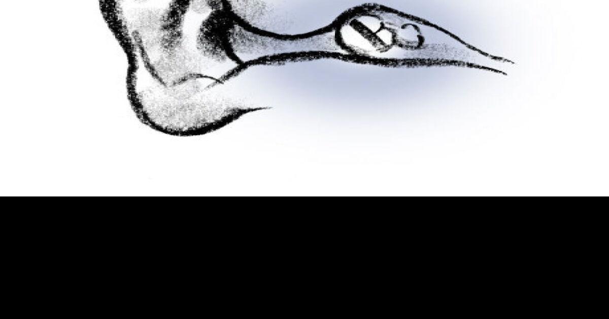 The eardrum fascinating facts about body parts