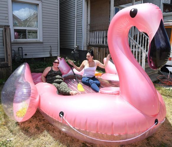 Flamingo tour