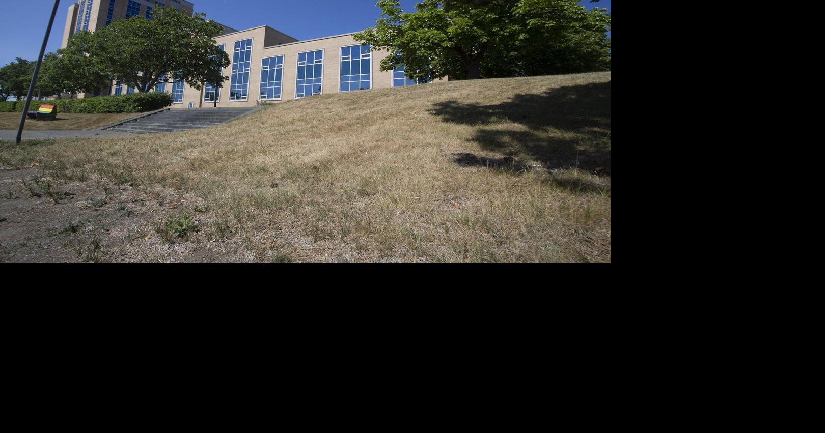 Outcry over Newfoundland minister's use of AI results in tears in the legislature