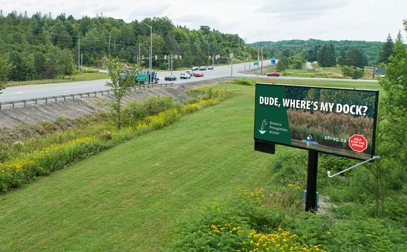 Billboard