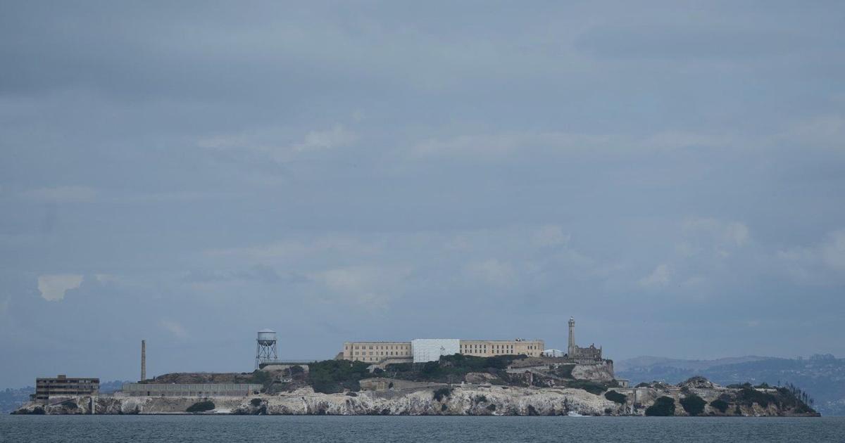 Male coyote swam 2 miles to Alcatraz Island, twice as far as biologists had expected