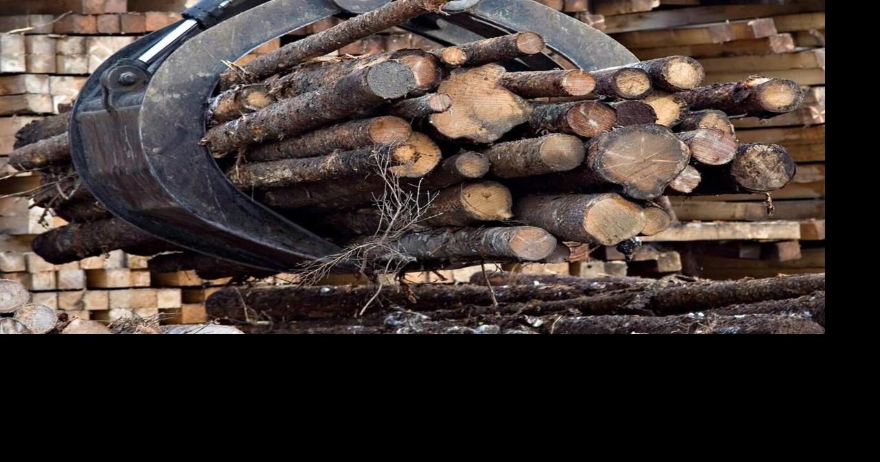 Quebec forest industry already under pressure amid Trump tariff threat: Legault